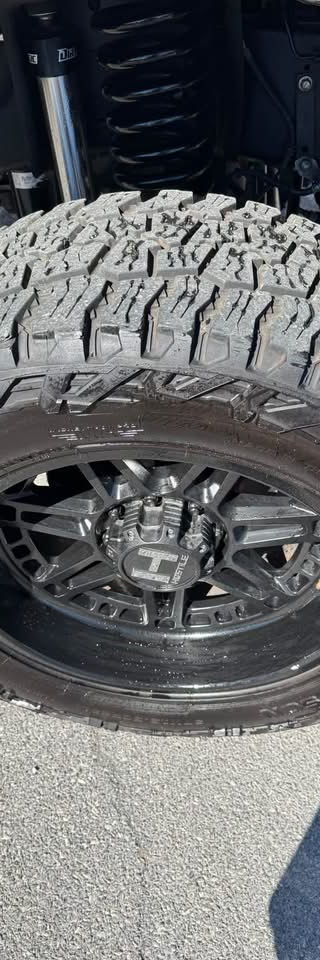 2018 ford f-250 Platinum 4x4 thumbnail 3