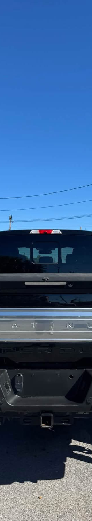 2018 ford f-250 Platinum 4x4 thumbnail 4